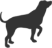large-dog-icon